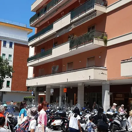 Lauro Charme Di Rosanova Rosa *